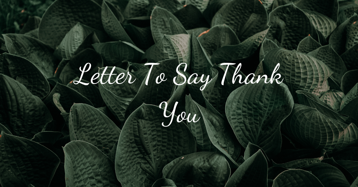 Letter To Say Thank You